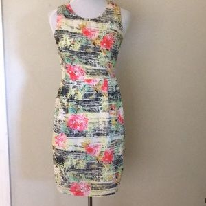 Super cute fitted dress